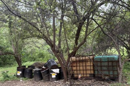 desmantelan tres laboratorios clandestinos en sinaloa y confiscan 3 mil Desmantelan tres laboratorios clandestinos en Sinaloa y confiscan 3 mil litros de químicos
