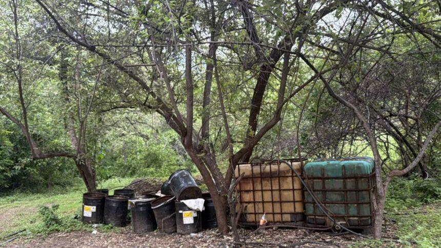 Desmantelan tres laboratorios clandestinos en Sinaloa y confiscan 3 mil litros de químicos