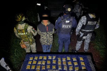 Detienen persona tras asegurar 520 dosis de presunta marihuana en Villagrán