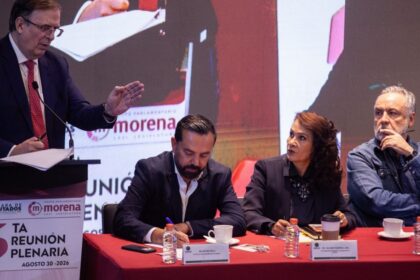 ebrard andy y rocha moya no influyen en negociaciones del Ebrard: Andy y Rocha Moya no influyen en negociaciones del T-MEC