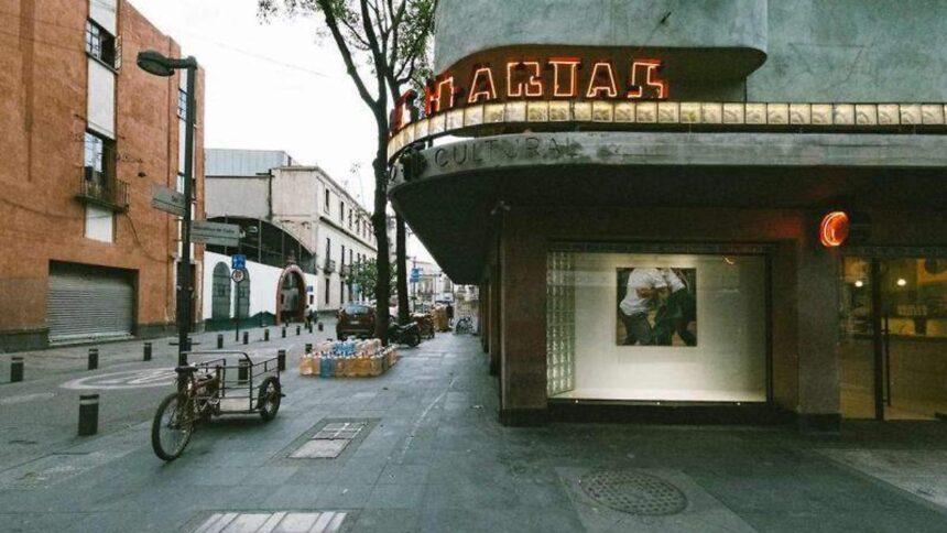 Fin de semana en CDMX: arte para vestir, ramen, vintage y libros