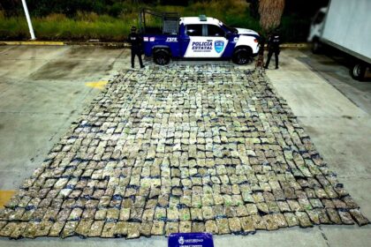 FSPE detecta más de media tonelada de presunta marihuana en León