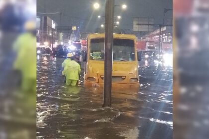 Fuertes lluvias provocan inundaciones y caída de árboles y postes en CDMX