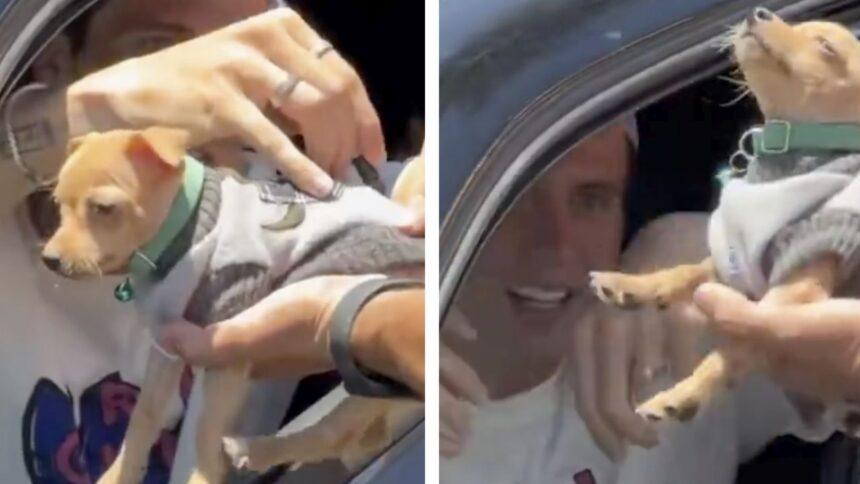 Futbolista de Chivas autografía al perrito de un aficionado