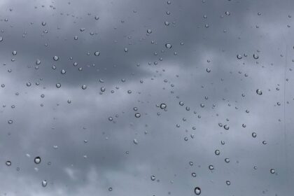gotas
