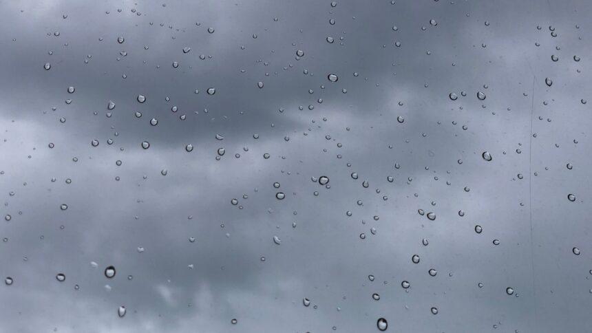 gotas