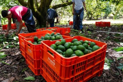 Guardia Nacional despliega más de mil 500 elementos en Michoacán por alerta de EU