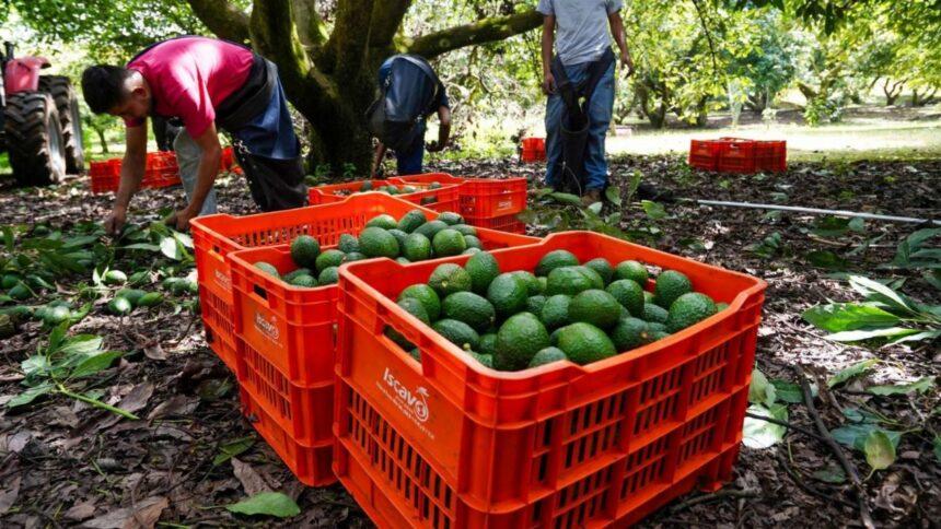Guardia Nacional despliega más de mil 500 elementos en Michoacán por alerta de EU