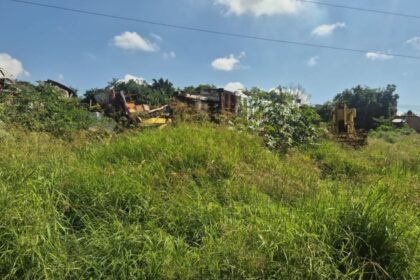 Hallan muerto a un hombre con lesiones en El Salto
