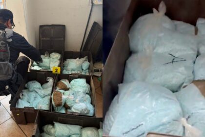 Incautan 120 kilos de fentanilo en inmueble de Los Rusos, en Mexicali