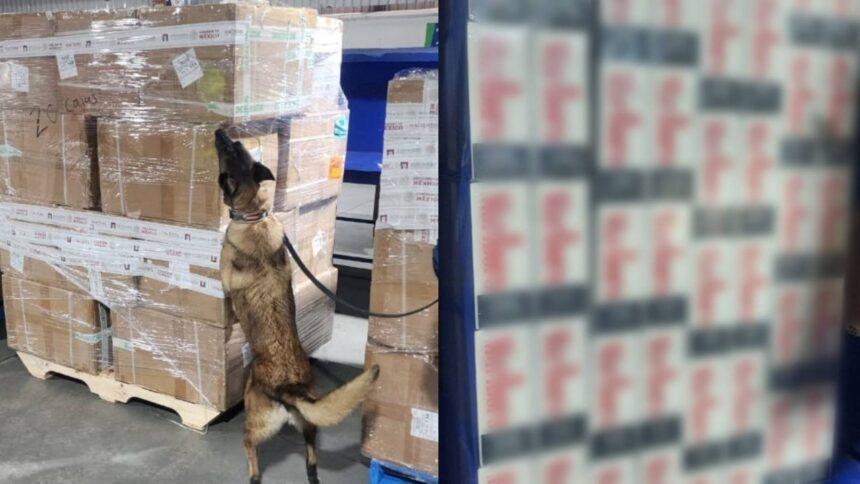 Incautan 2 millones de cigarros ilícitos procedentes de Bangkok en el AICM