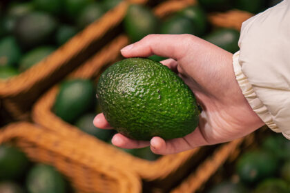 jalisco impulsa exportaciones de aguacate a estados unidos Jalisco impulsa exportaciones de aguacate a Estados Unidos