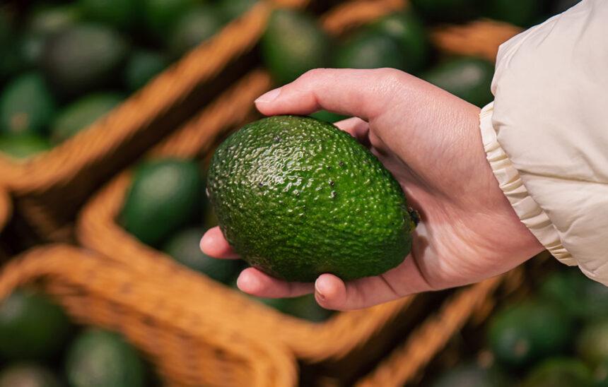 Jalisco impulsa exportaciones de aguacate a Estados Unidos