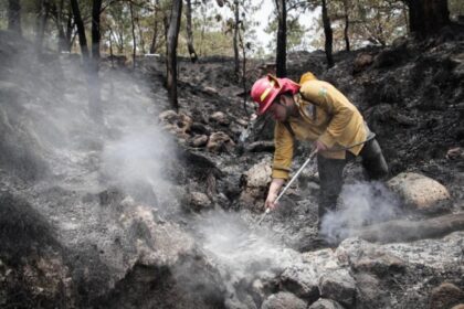 Jalisco se une a la Jornada Nacional de Reforestación contra incendios