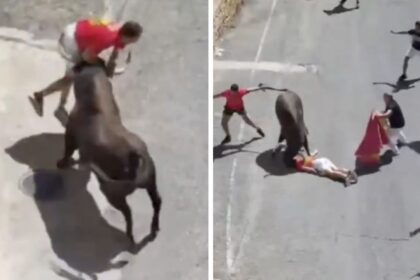 Joven recibe varias cornadas al resbalarse mientras provocaba a un toro