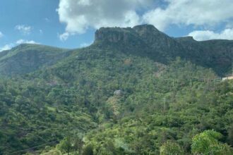 la bufa podria ser area natural protegida en guanajuato capital La Bufa podría ser Área Natural Protegida en Guanajuato capital para 2027