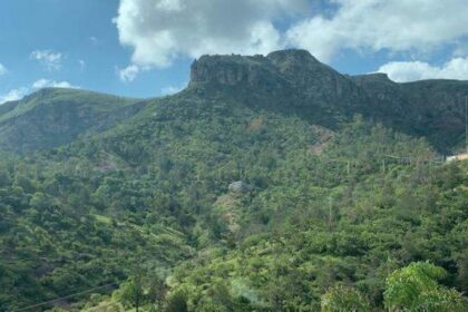 La Bufa podría ser Área Natural Protegida en Guanajuato capital para 2027
