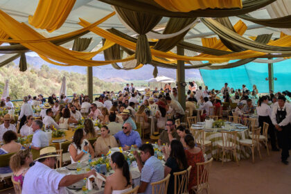 L.A. Cetto sorprende con su nueva línea de vinos orgánicos
