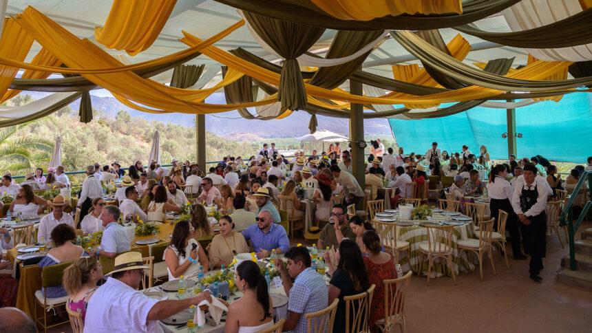 L.A. Cetto sorprende con su nueva línea de vinos orgánicos