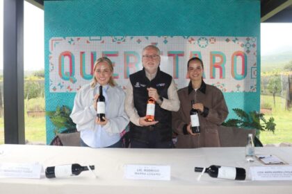 La Terquedad alista su vendimia en Querétaro