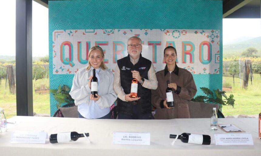 La Terquedad alista su vendimia en Querétaro