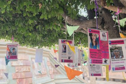 León instala cuatro Árboles de la Esperanza para visibilizar a desaparecidos