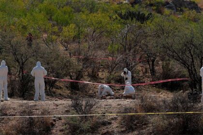 Localizan restos óseos humanos en una fosa clandestina de Tamaulipas