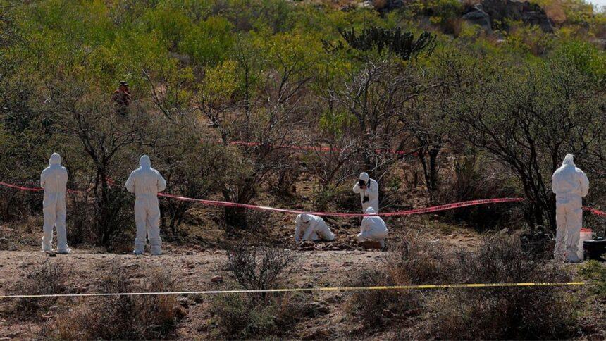 Localizan restos óseos humanos en una fosa clandestina de Tamaulipas