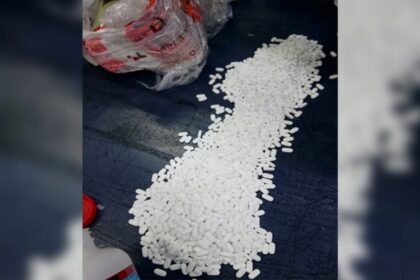 Marina asegura en AICM más de 6,000 pastillas de hidrocodona