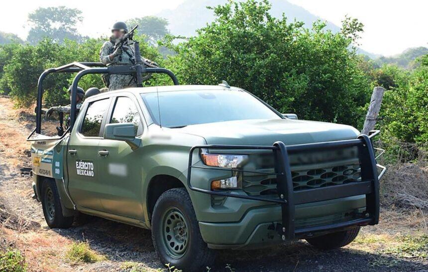 Militarizan empacadoras de aguacate en Michoacán por seguridad agraria