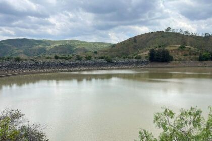 Mueren 2 mil peces por fuga en presa de La Soledad