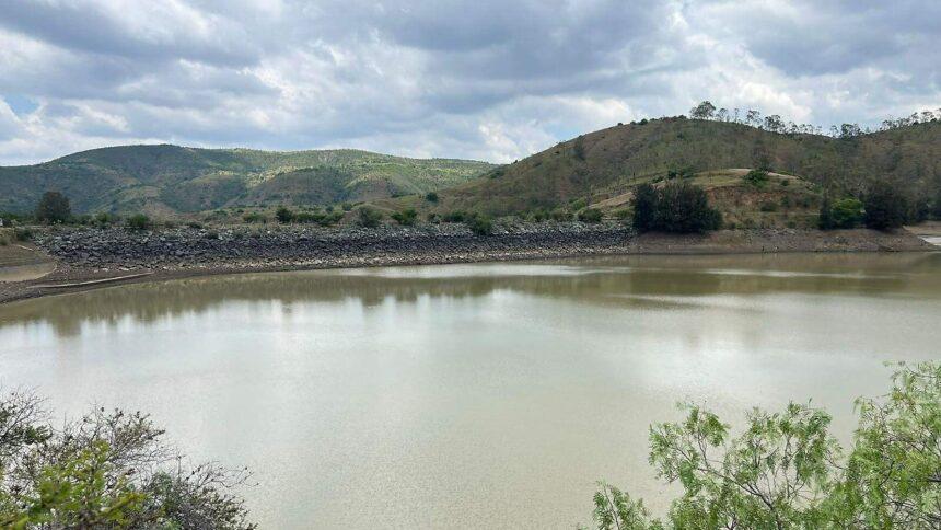 Mueren 2 mil peces por fuga en presa de La Soledad