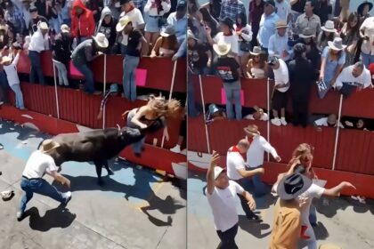 Mujer recibe cornada en la cara durante la Huamantlada en Tlaxcala