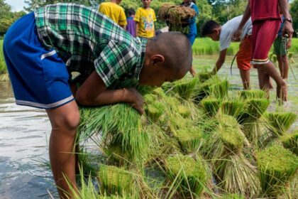 Naufragio en Nigeria causa al menos 50 muertes entre jornaleros, incluidos niños