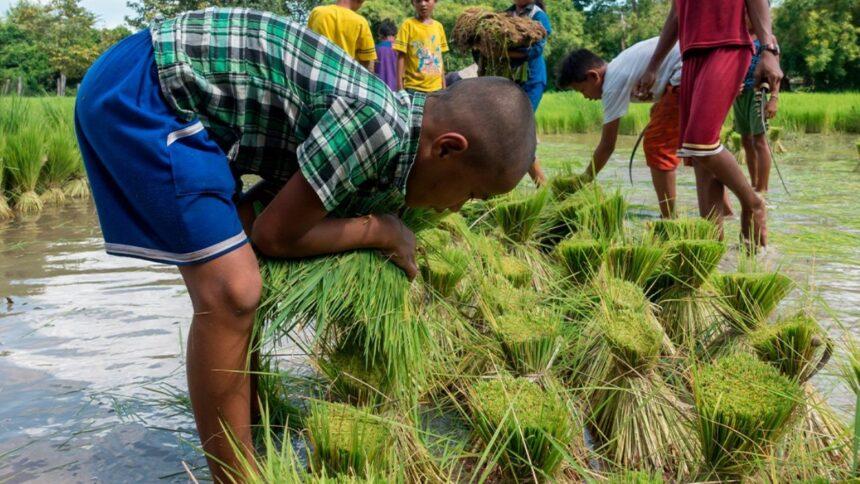 Naufragio en Nigeria causa al menos 50 muertes entre jornaleros, incluidos niños