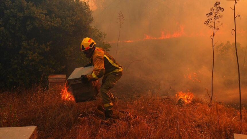 ONU advierte que El Niño agrava crisis climática global