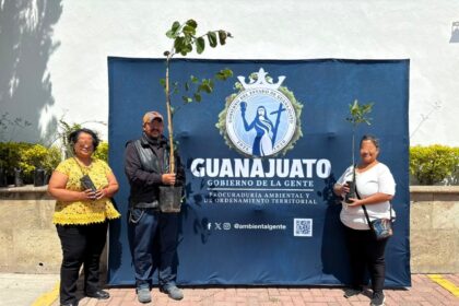 paot extiende campana de adopcion de arboles nativos en agosto PAOT extiende campaña de adopción de árboles nativos en agosto