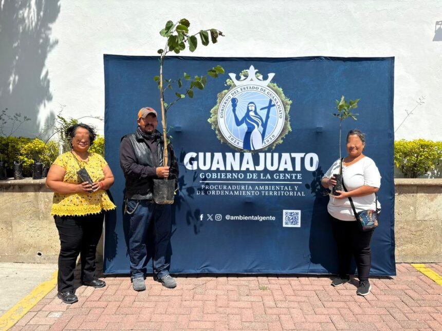 PAOT extiende campaña de adopción de árboles nativos en agosto