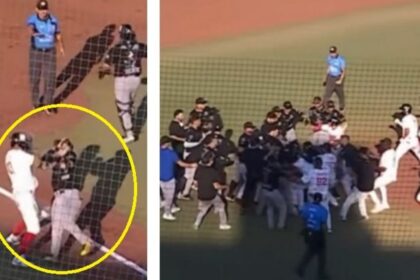 pelea campal entre toros de tijuana y acereros de monclova Pelea campal entre Toros de Tijuana y Acereros de Monclova