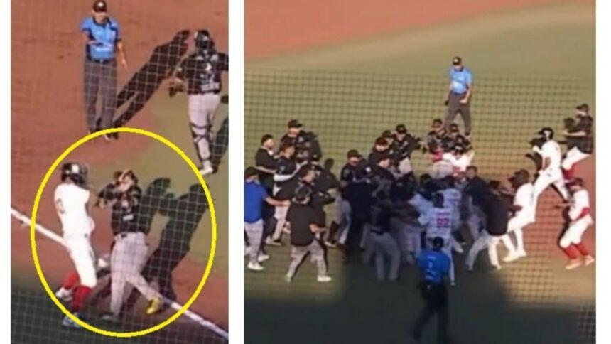 Pelea campal entre Toros de Tijuana y Acereros de Monclova
