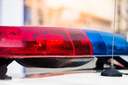 Pitbull que atacó a mujer en Guadalajara estará en observación