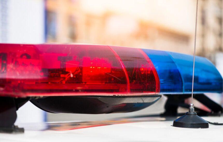 Pitbull que atacó a mujer en Guadalajara estará en observación