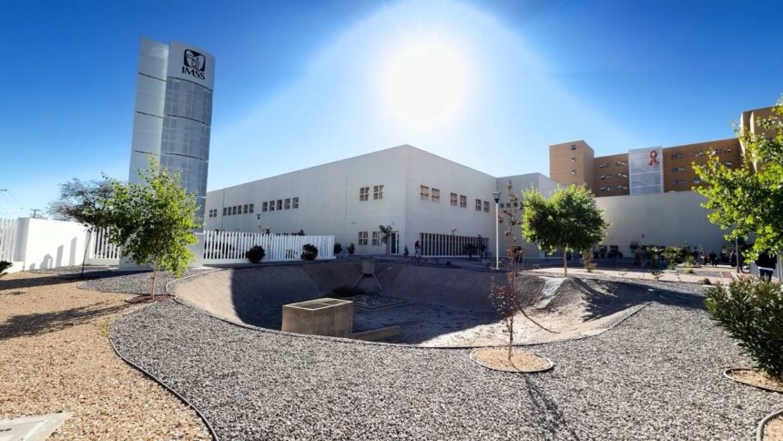 proveedores del imss sancionados siguen cobrando contratos millonarios sin consecuencias Proveedores del IMSS sancionados siguen cobrando contratos millonarios sin consecuencias