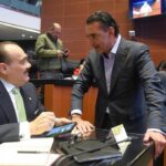 pvem pide endurecer sanciones por deforestacion tras clausura de predios PVEM pide endurecer sanciones por deforestación tras clausura de predios en Celestún