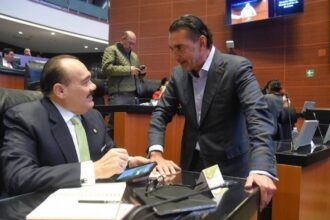 pvem pide endurecer sanciones por deforestacion tras clausura de predios PVEM pide endurecer sanciones por deforestación tras clausura de predios en Celestún