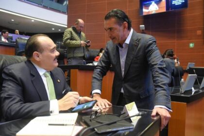 pvem pide endurecer sanciones por deforestacion tras clausura de predios PVEM pide endurecer sanciones por deforestación tras clausura de predios en Celestún