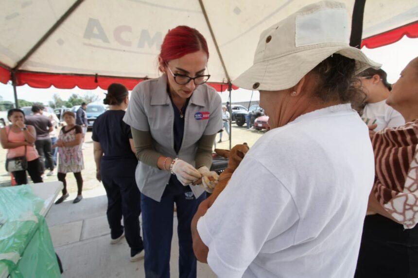 realizan exitosa campana de esterilizacion 2
