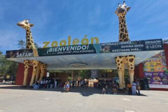 reserva informativa del zoologico de leon alimenta percepcion de ocultamiento Reserva informativa del Zoológico de León alimenta percepción de ocultamiento