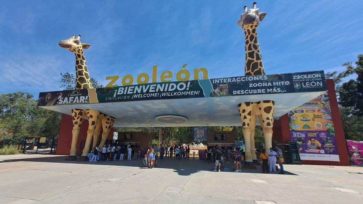 reserva informativa del zoologico de leon alimenta percepcion de ocultamiento Reserva informativa del Zoológico de León alimenta percepción de ocultamiento