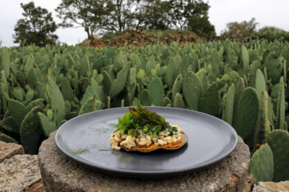 Ruta de la Milpa cumple 14 años: así fue la celebración